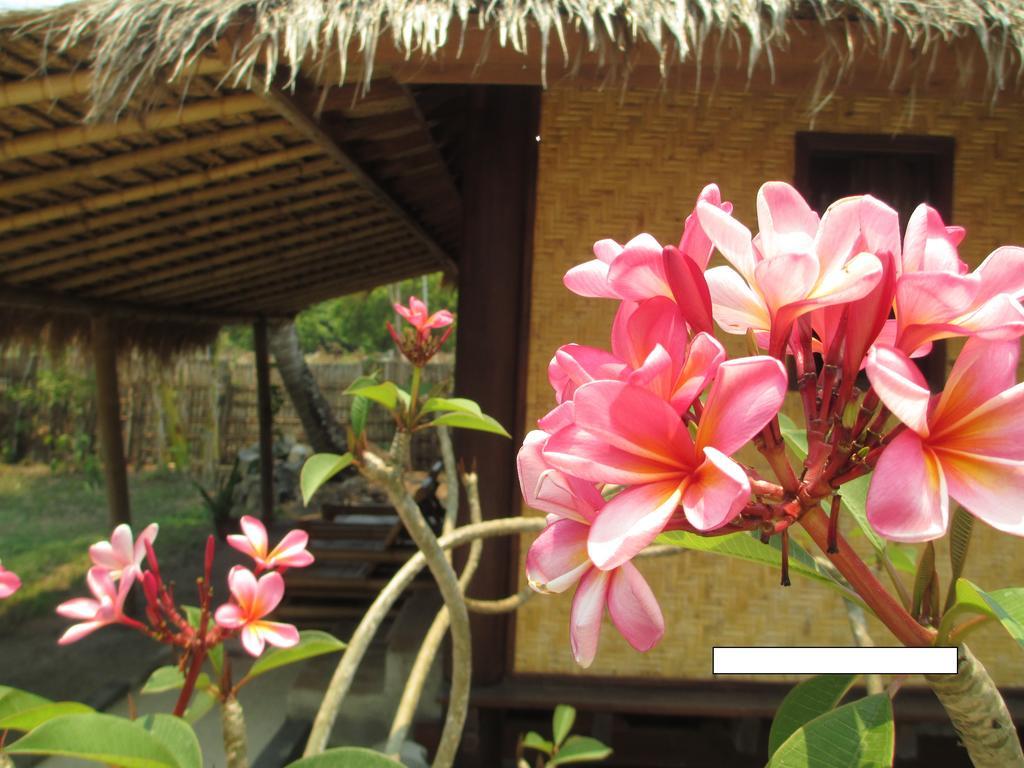 Selong Belanak Bungalows Luaran gambar